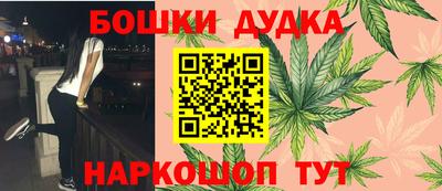 гидра Заводоуковск