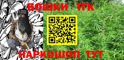 гидра Заводоуковск