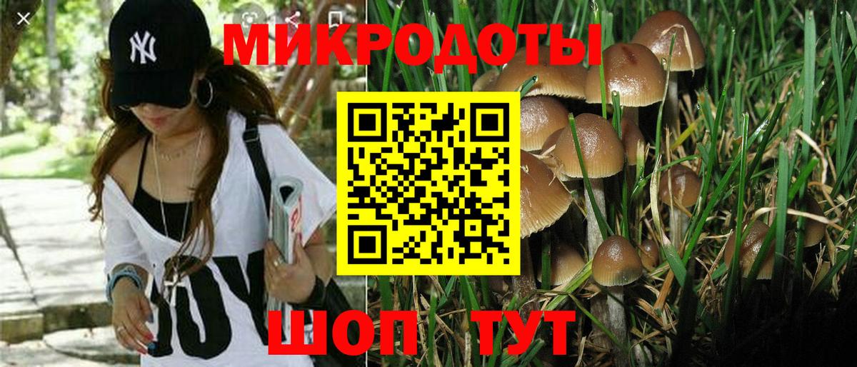 Псилоцибиновые грибы мицелий Электрогорск